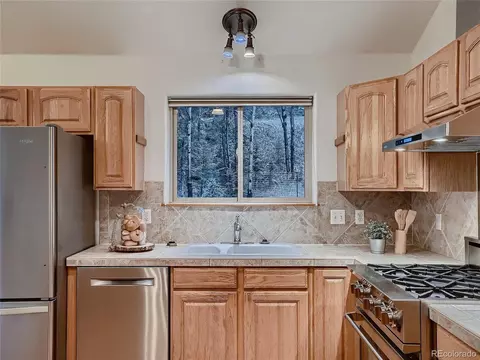54 Brookside Dr, Bailey, CO 80421 photo 15