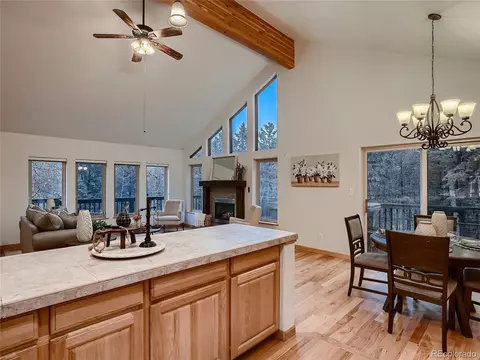 54 Brookside Dr, Bailey, CO 80421 photo 14