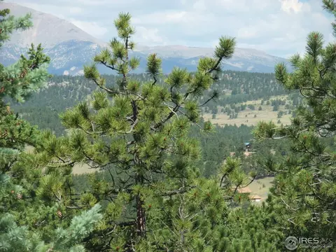 18675 Highway 7, Lyons, CO 80540 photo 3