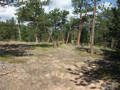 18675 Highway 7, Lyons, CO 80540 photo 13