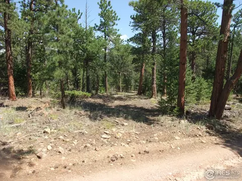 18675 Highway 7, Lyons, CO 80540 photo 9