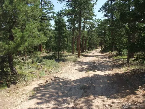 18675 Highway 7, Lyons, CO 80540 photo 10