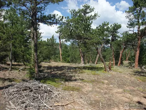 18675 Highway 7, Lyons, CO 80540 photo 5