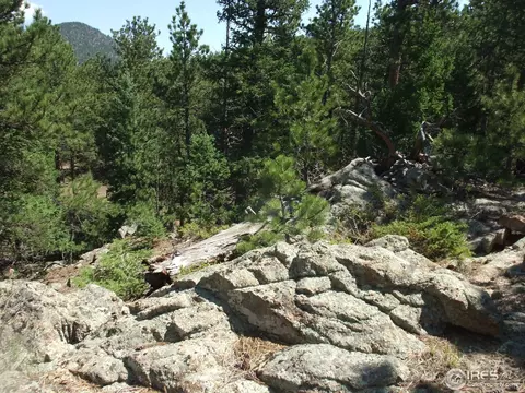 18675 Highway 7, Lyons, CO 80540 photo 6