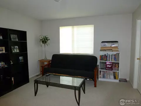 5023 E 116th Dr, Thornton, CO 80233 photo 8