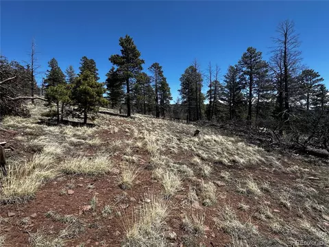 342 Brophy Dr, Fort Garland, CO 81133
