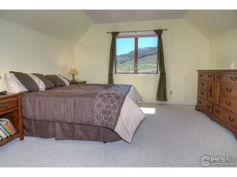 1606 County Road 37e, Lyons, CO 80540 photo 19