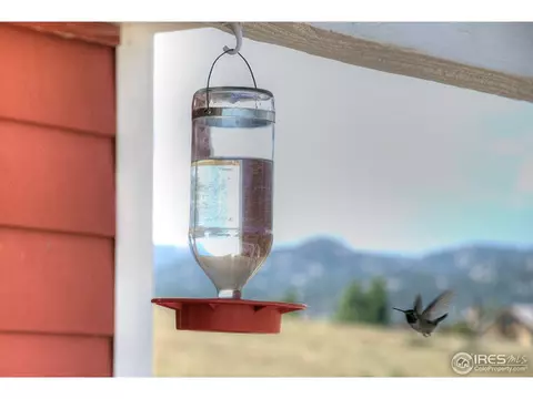 1606 County Road 37e, Lyons, CO 80540 photo 24