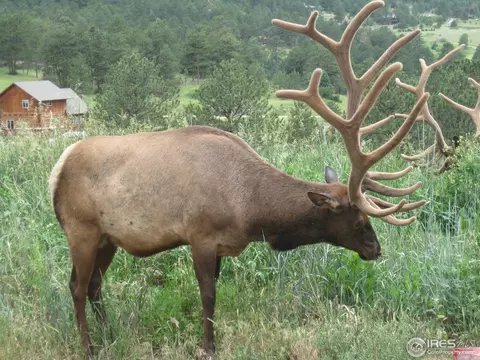 187 Button Rock Rd, Lyons, CO 80540 photo 13
