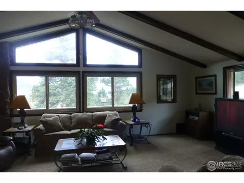 187 Button Rock Rd, Lyons, CO 80540 photo 9