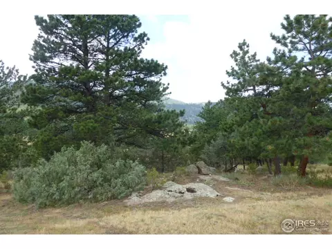 187 Button Rock Rd, Lyons, CO 80540 photo 6
