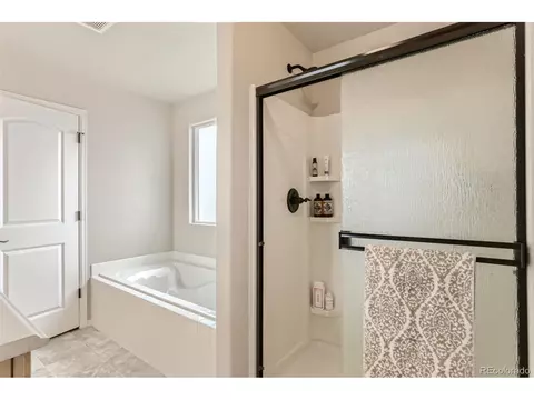 841 Sunlight Peak Dr, Windsor, CO 80550 photo 18