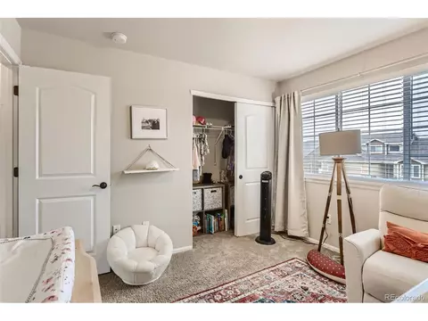 841 Sunlight Peak Dr, Windsor, CO 80550 photo 21