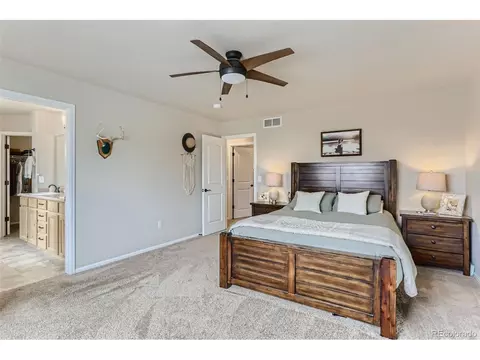 841 Sunlight Peak Dr, Windsor, CO 80550 photo 15