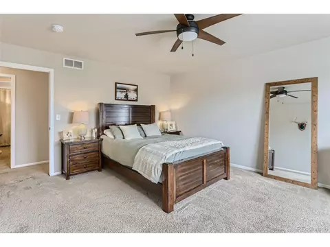 841 Sunlight Peak Dr, Windsor, CO 80550 photo 16