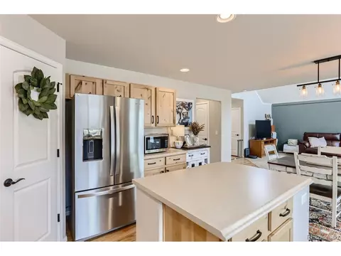 841 Sunlight Peak Dr, Windsor, CO 80550 photo 10