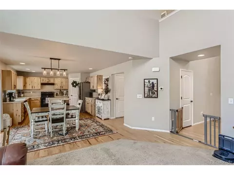 841 Sunlight Peak Dr, Windsor, CO 80550 photo 5