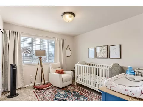 841 Sunlight Peak Dr, Windsor, CO 80550 photo 20