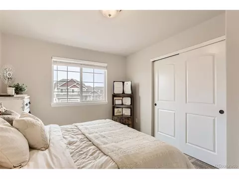 841 Sunlight Peak Dr, Windsor, CO 80550 photo 23