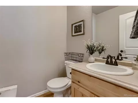841 Sunlight Peak Dr, Windsor, CO 80550 photo 12