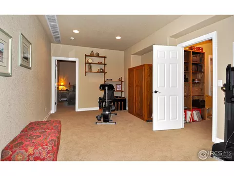 582 Madera Way, Windsor, CO 80550 photo 19
