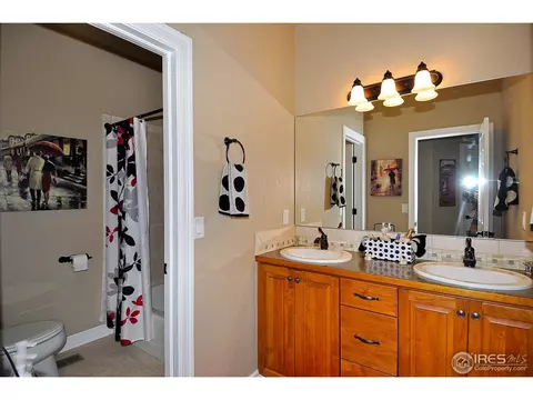 582 Madera Way, Windsor, CO 80550 photo 17