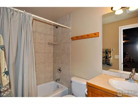 582 Madera Way, Windsor, CO 80550 photo 20