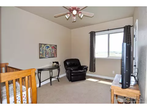 582 Madera Way, Windsor, CO 80550 photo 16