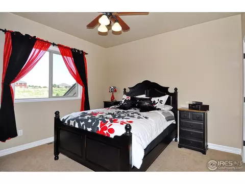 582 Madera Way, Windsor, CO 80550 photo 15