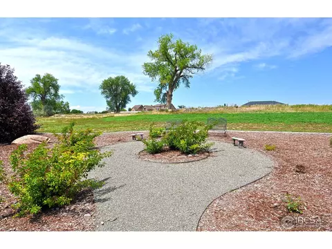 582 Madera Way, Windsor, CO 80550 photo 24