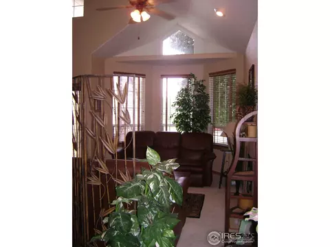 317 54th Ave, Greeley, CO 80634 photo 5
