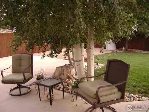 317 54th Ave, Greeley, CO 80634 photo 21