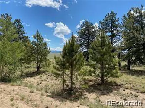 322 Angus Cir, Hartsel, CO 80449
