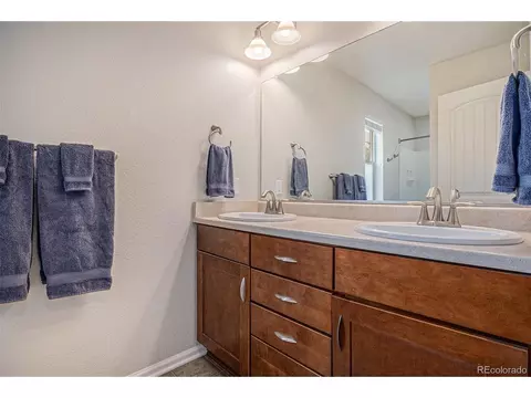 8052 E 49th Pl, Denver, CO 80238 photo 19