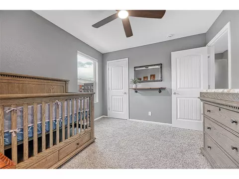 8052 E 49th Pl, Denver, CO 80238 photo 17