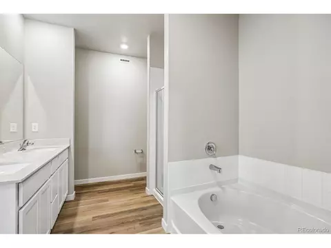 Bath - 964 Cascade Falls St, Severance, CO 80550 photo 3 of 6