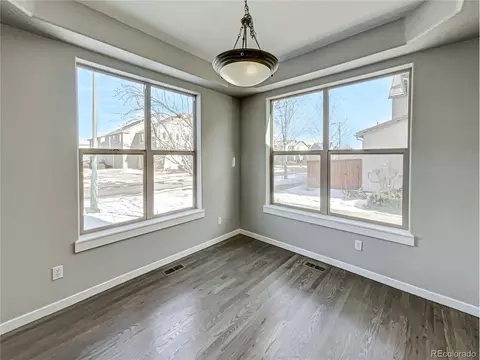 9132 E 29th Pl, Denver, CO 80238 photo 11