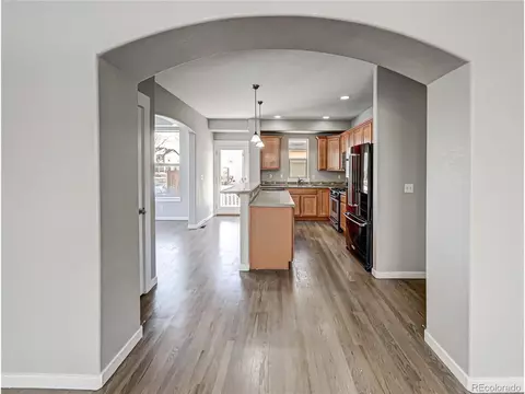 9132 E 29th Pl, Denver, CO 80238 photo 10
