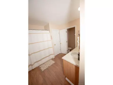 4535 Dillon St, Denver, CO 80239 photo 12