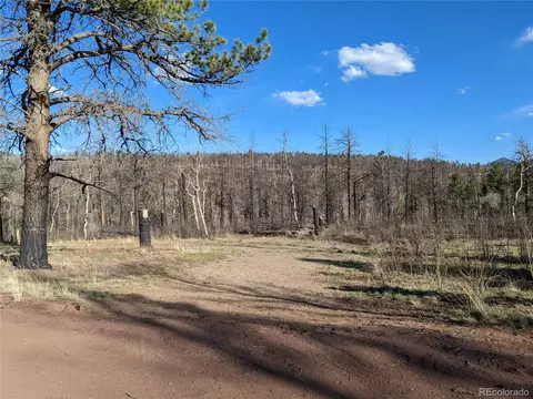 688 Cogbill Dr, Fort Garland, CO 81133
