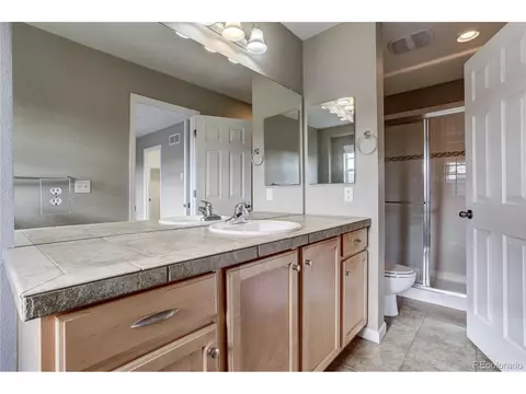 8907 E 29th Pl, Denver, CO 80238 photo 22