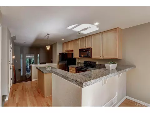 8907 E 29th Pl, Denver, CO 80238 photo 9