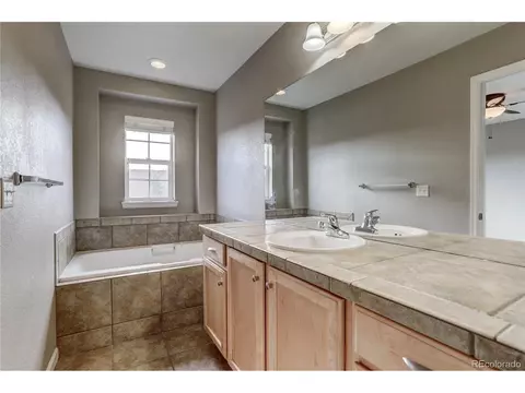 8907 E 29th Pl, Denver, CO 80238 photo 23