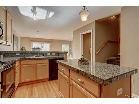 8907 E 29th Pl, Denver, CO 80238 photo 12