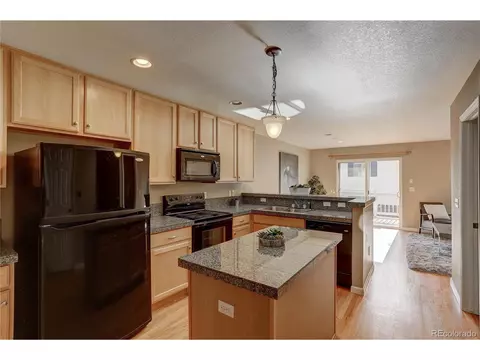 8907 E 29th Pl, Denver, CO 80238 photo 10