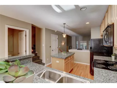 8907 E 29th Pl, Denver, CO 80238 photo 11