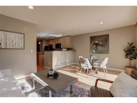 8907 E 29th Pl, Denver, CO 80238 photo 13