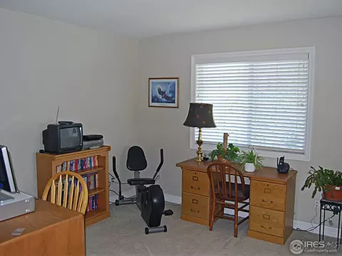 8335 Louden Cir, Windsor, CO 80528 photo 12