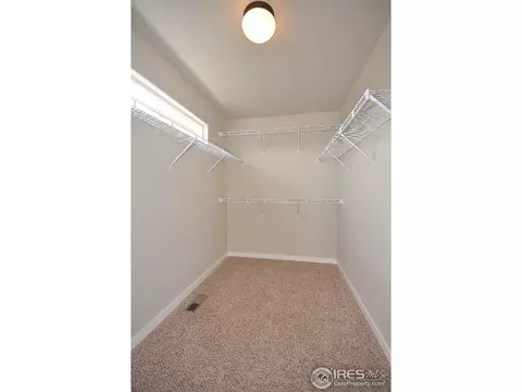 1117 Crescent Dr, Windsor, CO 80550 photo 24