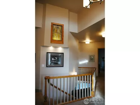 4614 Pompano Dr, Windsor, CO 80550 photo 24